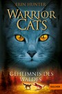 Warrior Cats. Geheimnis des Waldes - I, Band 3