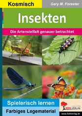 Insekten - Die Artenvielfalt genauer betrachtet