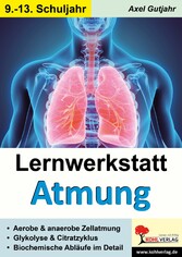 Lernwerkstatt Atmung / Band 2 (Klasse 9-13) - Zellatmung, Citratzyklus u.v.m.
